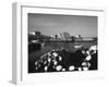 Fishing Nets and Houses at Harbor, Peggy's Cove, Nova Scotia, Canada-Greg Probst-Framed Photographic Print