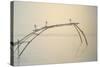 Fishing Nets Cochin 2-Lincoln Seligman-Stretched Canvas