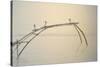 Fishing Nets Cochin 2-Lincoln Seligman-Stretched Canvas