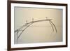 Fishing Nets Cochin 2-Lincoln Seligman-Framed Giclee Print