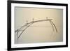 Fishing Nets Cochin 2-Lincoln Seligman-Framed Giclee Print