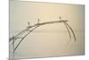 Fishing Nets Cochin 2-Lincoln Seligman-Mounted Giclee Print