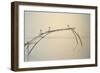 Fishing Nets Cochin 2-Lincoln Seligman-Framed Giclee Print