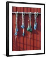 Fishing Nets Hanging from Rorbuer Exterior, Storvagen, Austvagsoya, Lofoten, Nordland, Norway-Doug Pearson-Framed Photographic Print