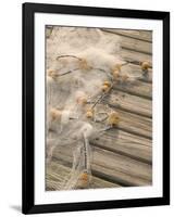 Fishing Nets on Town Pier, Loyalist Cays, Abacos, Bahamas-Walter Bibikow-Framed Photographic Print