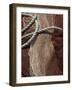 Fishing Nets, Saint Jean De Luz (St.-Jean-De-Luz), Basque Country, Aquitaine, France-Robert Harding-Framed Photographic Print