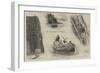 Fishing Notes at St Helena-William Ralston-Framed Giclee Print