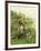 Fishing on a Spring Day-Daniel Ridgway Knight-Framed Giclee Print