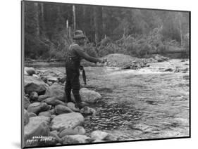 Fishing on the Elwha, Olympic Peninsula, Undated-Asahel Curtis-Mounted Giclee Print