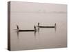 Fishing on the River Niger, Niger Inland Delta, Segou Region, Mali, West Africa, Africa-Gavin Hellier-Stretched Canvas