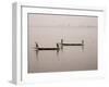 Fishing on the River Niger, Niger Inland Delta, Segou Region, Mali, West Africa, Africa-Gavin Hellier-Framed Photographic Print