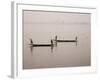 Fishing on the River Niger, Niger Inland Delta, Segou Region, Mali, West Africa, Africa-Gavin Hellier-Framed Photographic Print