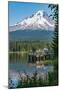 Fishing on Trillium Lake with Mount Hood, part of the Cascade Range, reflected in the still waters,-Martin Child-Mounted Photographic Print