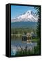 Fishing on Trillium Lake with Mount Hood, part of the Cascade Range, reflected in the still waters,-Martin Child-Framed Stretched Canvas