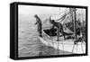 Fishing Oysters in Mobile Bay-Lewis Wickes Hine-Framed Stretched Canvas