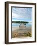 Fishing Pier and Boat Launch in Bayview Park on Bayou Texar in Pensacola, Florida in Early Morning-forestpath-Framed Photographic Print