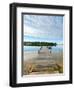 Fishing Pier and Boat Launch in Bayview Park on Bayou Texar in Pensacola, Florida in Early Morning-forestpath-Framed Photographic Print