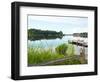 Fishing Pier and Boat Launch in Bayview Park on Bayou Texar in Pensacola, Florida in Early Morning-forestpath-Framed Photographic Print