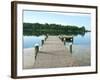 Fishing Pier and Boat Launch in Bayview Park on Bayou Texar in Pensacola, Florida in Early Morning-forestpath-Framed Photographic Print