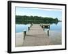 Fishing Pier and Boat Launch in Bayview Park on Bayou Texar in Pensacola, Florida in Early Morning-forestpath-Framed Photographic Print