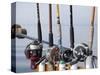 Fishing Poles, Alaska, Usa-Savanah Stewart-Stretched Canvas