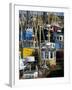 Fishing Port, Kilmore Quay, County Wexford, Leinster, Eire (Ireland)-Bruno Barbier-Framed Photographic Print