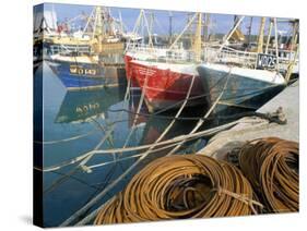 Fishing Port, Kilmore Quay, County Wexford, Leinster, Eire (Ireland)-Bruno Barbier-Stretched Canvas