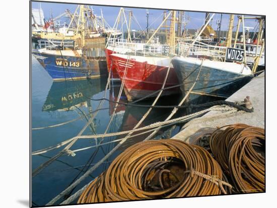 Fishing Port, Kilmore Quay, County Wexford, Leinster, Eire (Ireland)-Bruno Barbier-Mounted Photographic Print