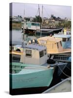 Fishing Port, St. John's, Antigua, Leeward Islands, West Indies, Caribbean, Central America-Bruno Barbier-Stretched Canvas