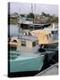 Fishing Port, St. John's, Antigua, Leeward Islands, West Indies, Caribbean, Central America-Bruno Barbier-Stretched Canvas