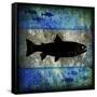 Fishing Rules Trout-LightBoxJournal-Framed Stretched Canvas