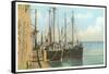 Fishing Schooners, Nantucket, Massachusetts-null-Framed Stretched Canvas