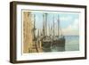 Fishing Schooners, Nantucket, Massachusetts-null-Framed Premium Giclee Print