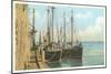 Fishing Schooners, Nantucket, Massachusetts-null-Mounted Art Print