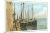 Fishing Schooners, Nantucket, Massachusetts-null-Mounted Art Print