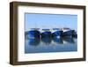 Fishing Ships Docked in Port-kanvag-Framed Photographic Print