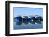 Fishing Ships Docked in Port-kanvag-Framed Photographic Print