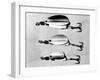 Fishing Spoon Baits-null-Framed Photographic Print