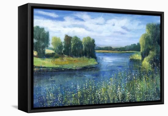 Fishing Spot-Tim O'toole-Framed Stretched Canvas