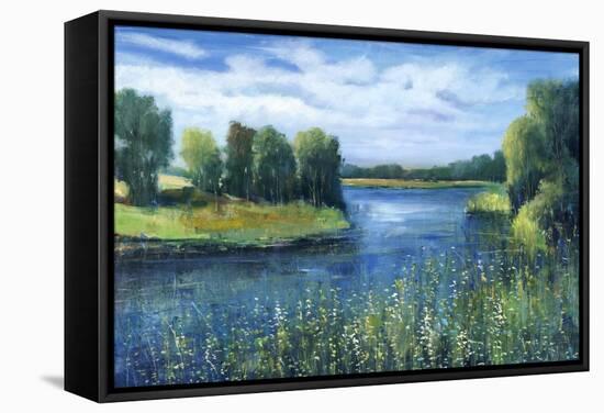 Fishing Spot-Tim O'toole-Framed Stretched Canvas