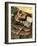 "Fishing Still Life," April 15, 1944-John Atherton-Framed Giclee Print