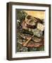 "Fishing Still Life," April 15, 1944-John Atherton-Framed Giclee Print