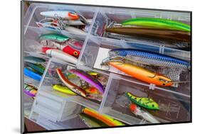 Fishing Tackle Box Lure & Bait-null-Mounted Art Print