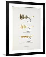 Fishing Tackle: Plain Hackle, Jointed Hackle, Indian Crow-Jointed Hackle-Fraser Sandeman-Framed Giclee Print