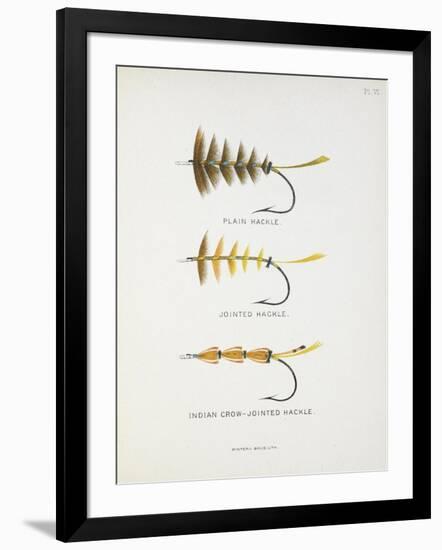 Fishing Tackle: Plain Hackle, Jointed Hackle, Indian Crow-Jointed Hackle-Fraser Sandeman-Framed Giclee Print