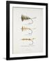 Fishing Tackle: Plain Hackle, Jointed Hackle, Indian Crow-Jointed Hackle-Fraser Sandeman-Framed Giclee Print