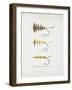 Fishing Tackle: Plain Hackle, Jointed Hackle, Indian Crow-Jointed Hackle-Fraser Sandeman-Framed Giclee Print