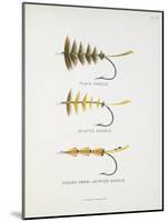 Fishing Tackle: Plain Hackle, Jointed Hackle, Indian Crow-Jointed Hackle-Fraser Sandeman-Mounted Giclee Print