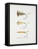 Fishing Tackle: Plain Hackle, Jointed Hackle, Indian Crow-Jointed Hackle-Fraser Sandeman-Framed Stretched Canvas