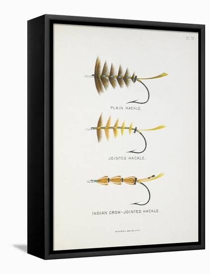 Fishing Tackle: Plain Hackle, Jointed Hackle, Indian Crow-Jointed Hackle-Fraser Sandeman-Framed Stretched Canvas